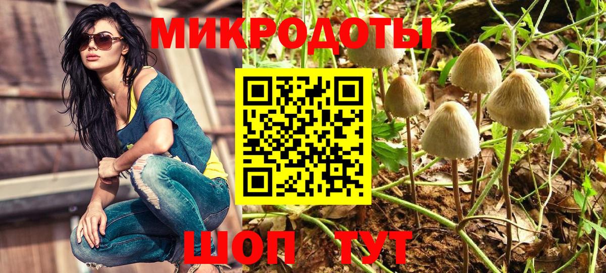 Псилоцибиновые грибы мицелий Балаково